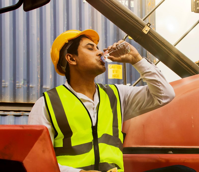 SOMOS LO QUE COMEMOS DURANTE LA RUTA