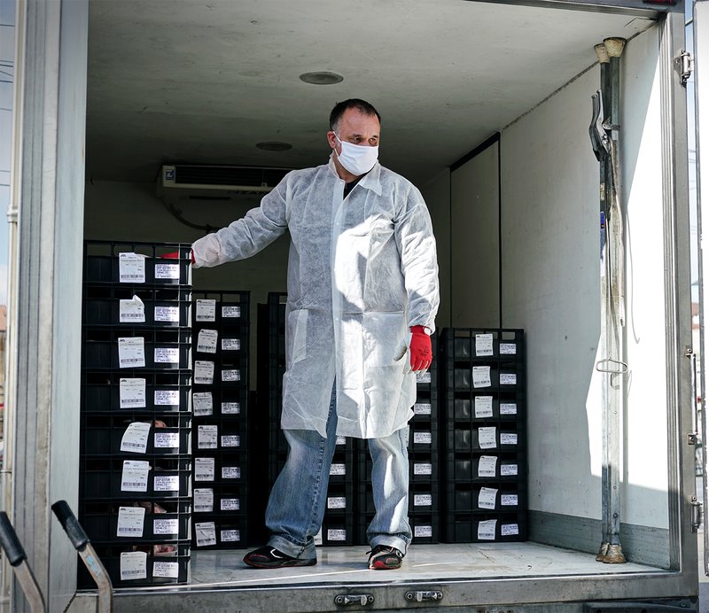 CAMIÓN FRIGORÍFICO