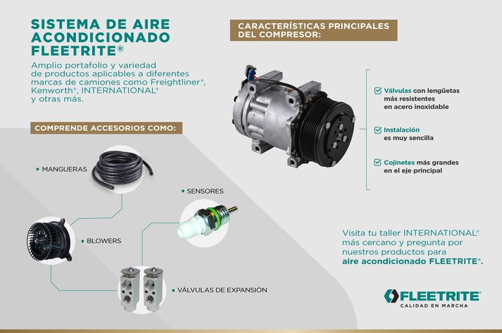 Infografias-Fleetrite-Aire acondicionado